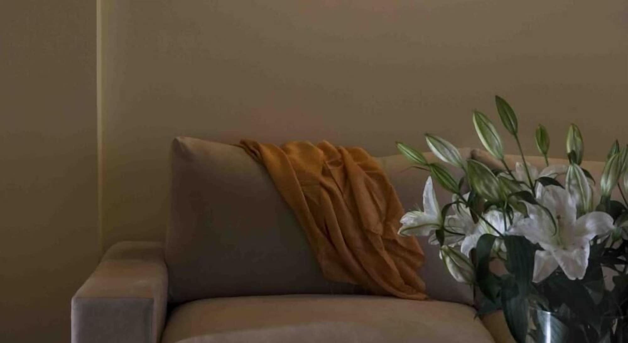 Valis Resort Hotel Volos Eksteriør billede A throw draped over a sofa
