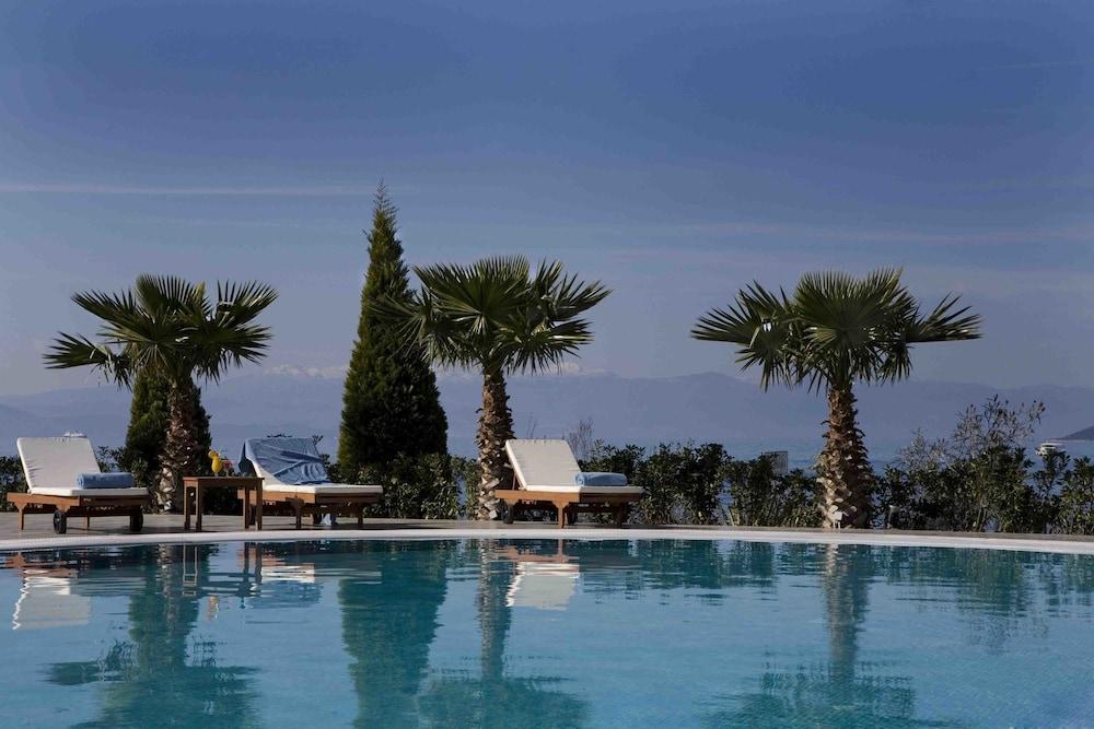 Valis Resort Hotel Volos Eksteriør billede The pool at the hotel