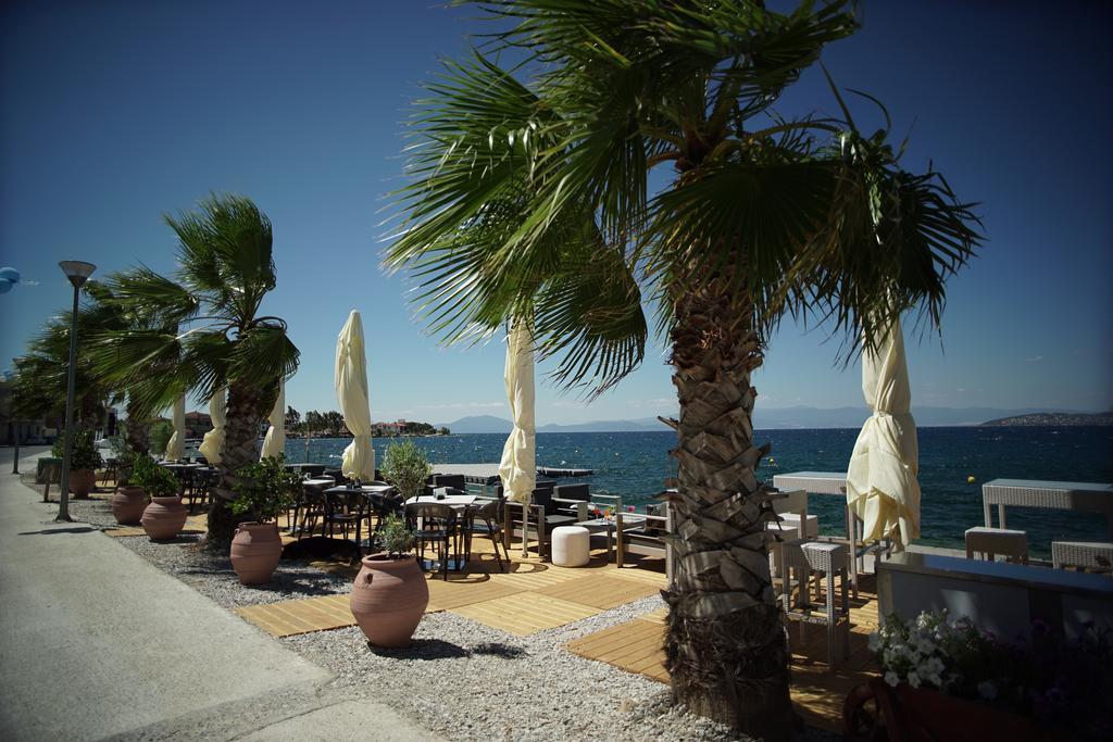 Valis Resort Hotel Volos Eksteriør billede Palm trees in the port of Argostoli